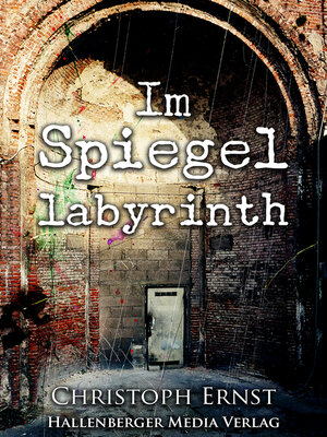 cover image of Im Spiegellabyrinth